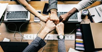 why startup fails