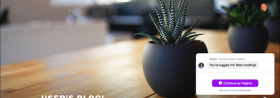 How to Use WordPress Chatbot to Boost your Business Marketing Goals